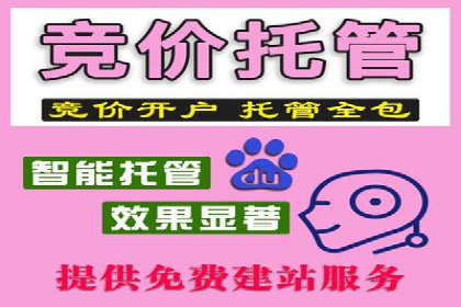 SEM广告投放的创意与执行：成功案例剖析